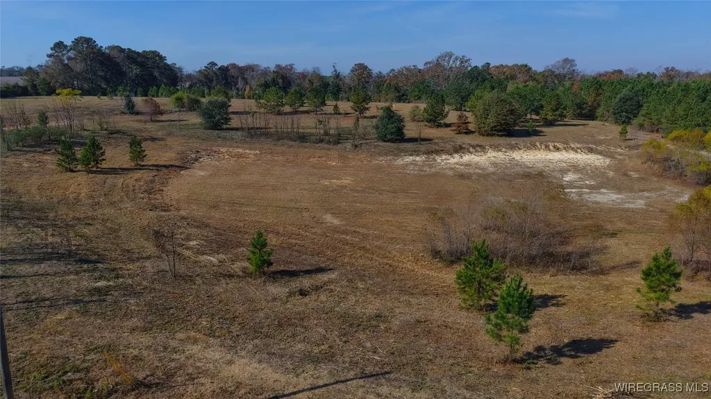 84 Mccallister Road Slocomb AL 36375