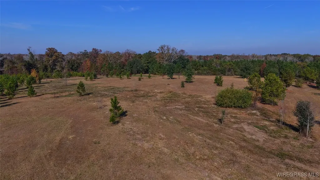 84 Mccallister Road Slocomb AL 36375