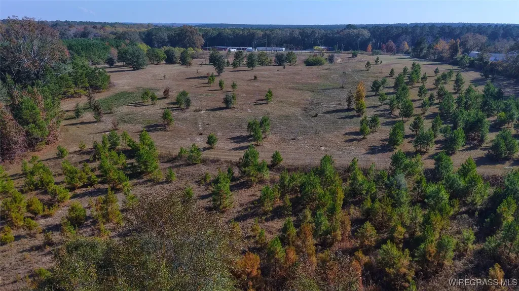 84 Mccallister Road Slocomb AL 36375