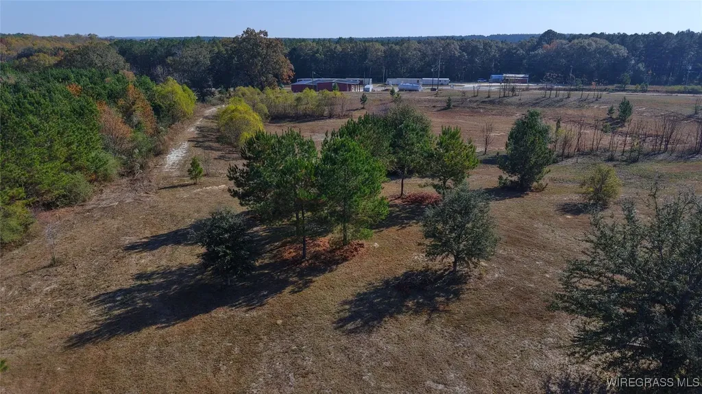 84 Mccallister Road Slocomb AL 36375