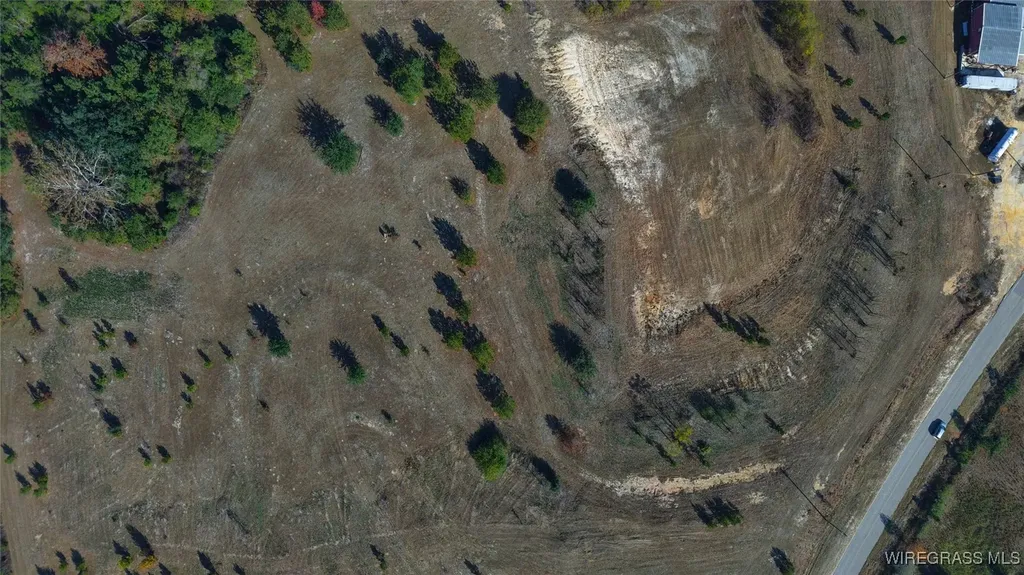 84 Mccallister Road Slocomb AL 36375