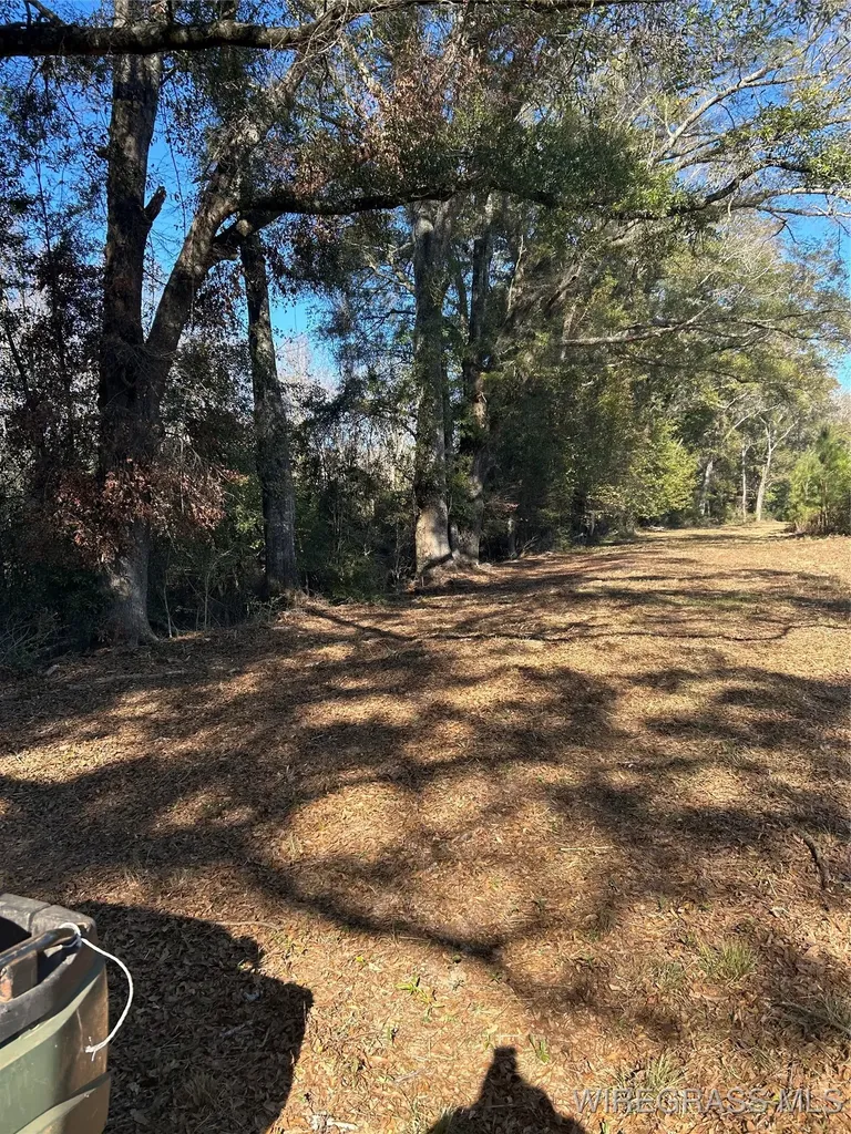 1311 County Road 712 Enterprise AL 36330