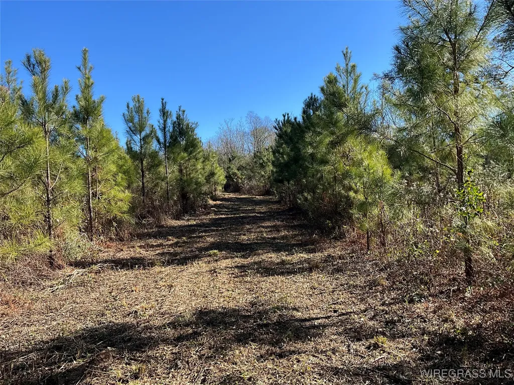 1311 County Road 712 Enterprise AL 36330