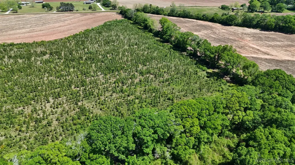 1255 County Road 712 Road Enterprise AL 36330