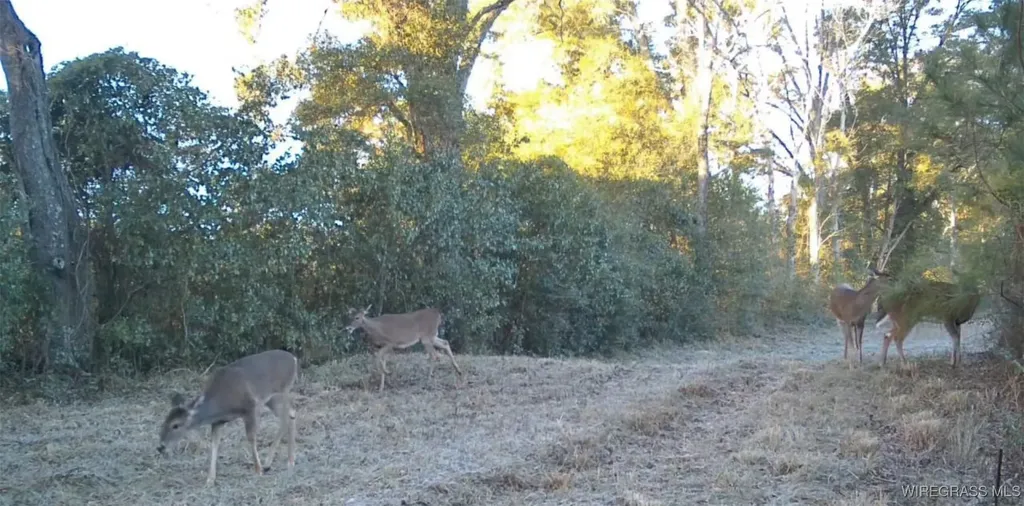 1255 County Road 712 Road Enterprise AL 36330