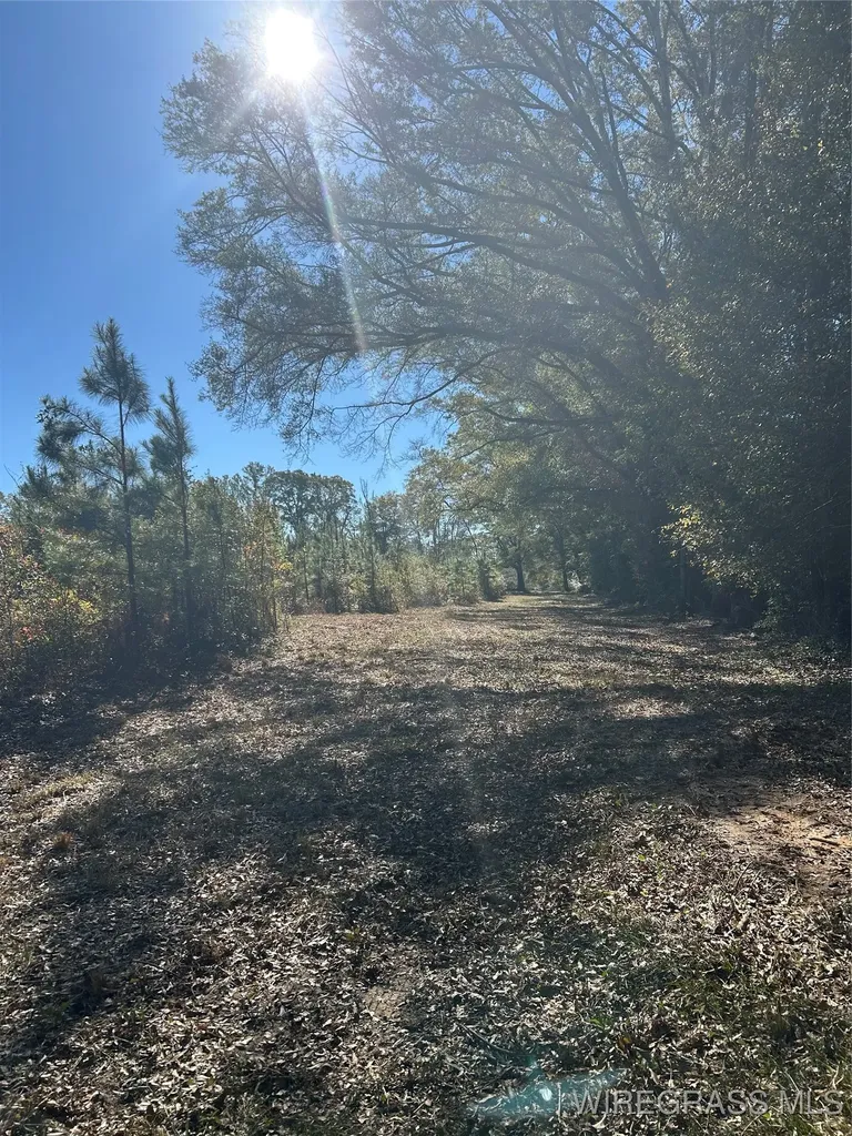 1255 County Road 712 Enterprise AL 36330