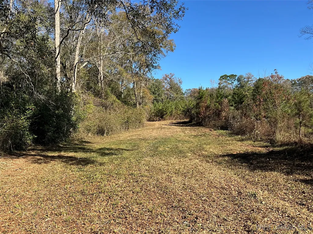 1255 County Road 712 Road Enterprise AL 36330