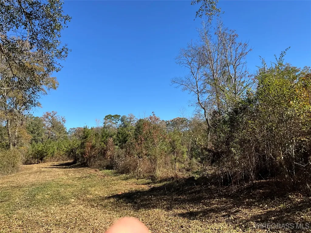 1255 County Road 712 Road Enterprise AL 36330