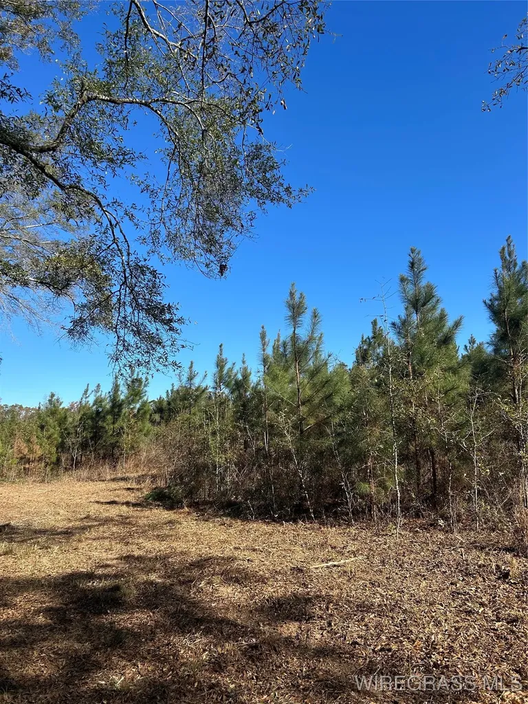 1255 County Road 712 Enterprise AL 36330
