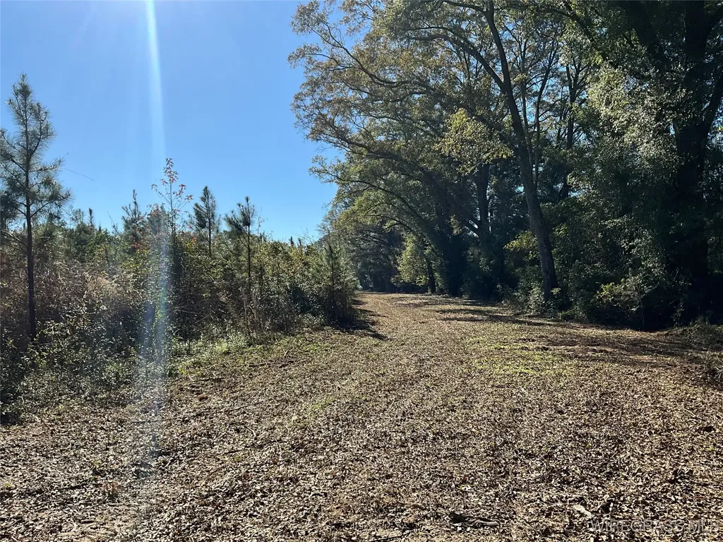 1255 County Road 712 Enterprise AL 36330