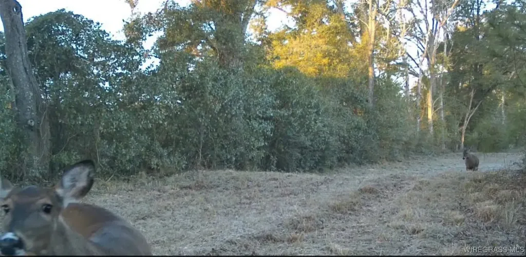 1255 County Road 712 Road Enterprise AL 36330