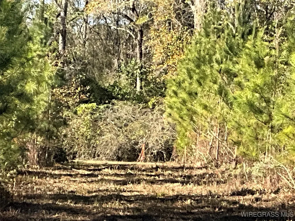 1255 County Road 712 Road Enterprise AL 36330