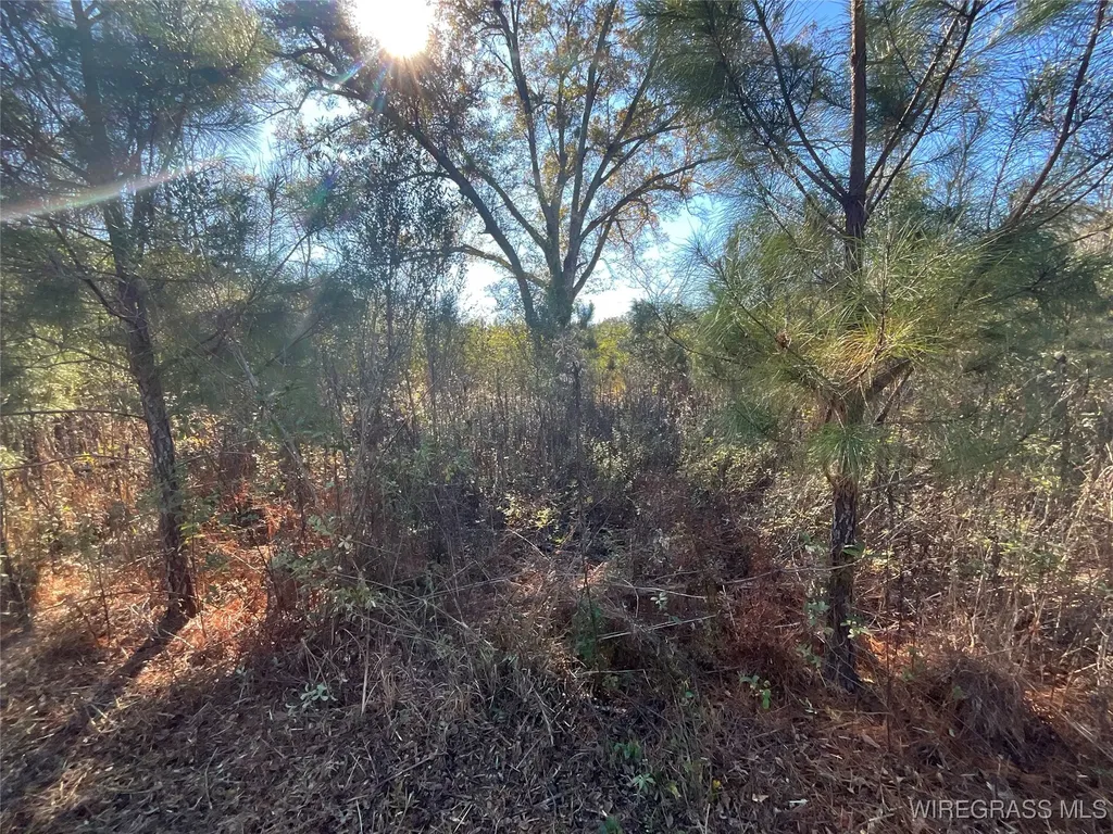 1255 County Road 712 Enterprise AL 36330