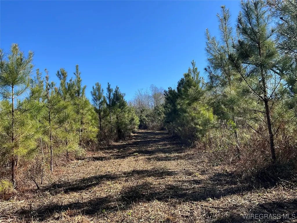1255 County Road 712 Enterprise AL 36330