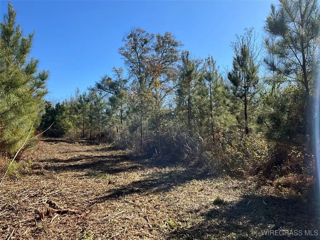 1255 County Road 712 Road Enterprise AL 36330