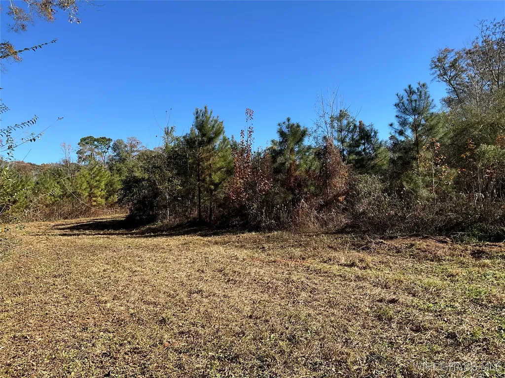 1255 County Road 712 Road Enterprise AL 36330