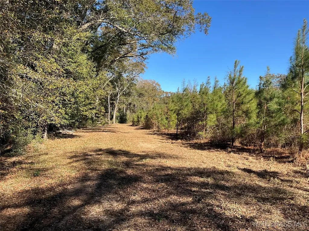 1255 County Road 712 Road Enterprise AL 36330