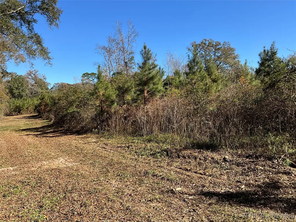 1255 County Road 712 Road Enterprise AL 36330