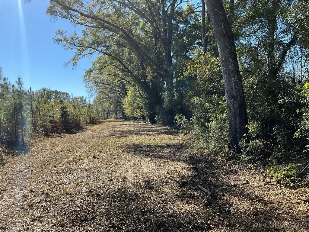 1255 County Road 712 Enterprise AL 36330
