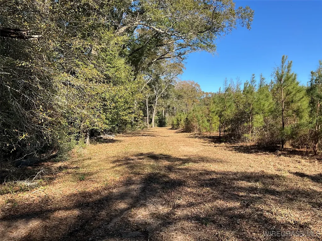 1255 County Road 712 Enterprise AL 36330
