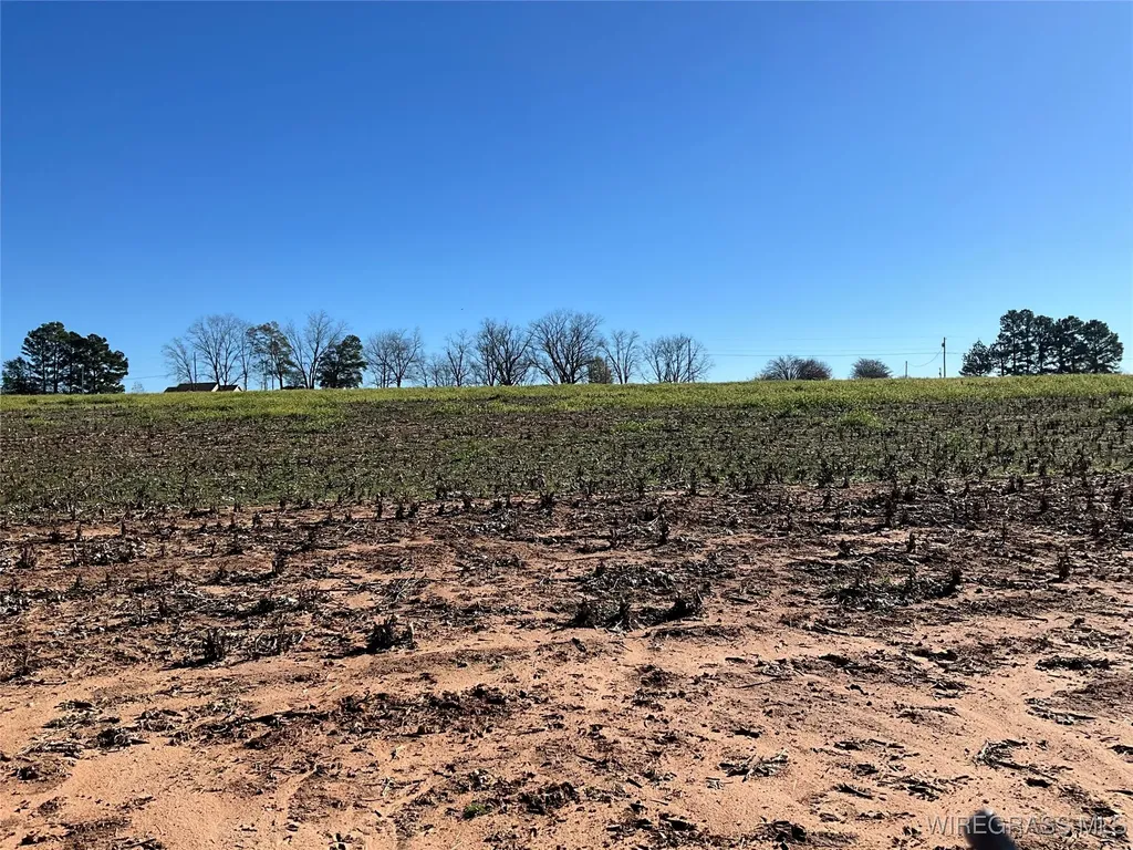 1255 County Road 712 Road Enterprise AL 36330