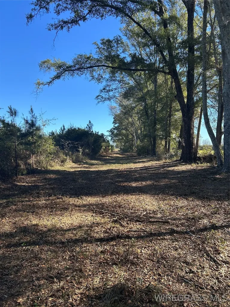 1255 County Road 712 Road Enterprise AL 36330