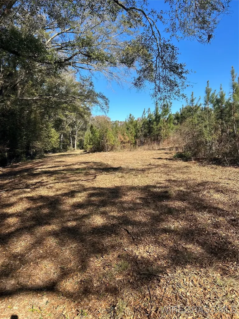 1255 County Road 712 Road Enterprise AL 36330