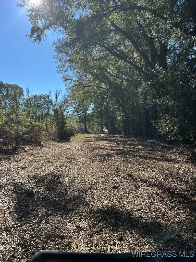 1255 County Road 712 Road Enterprise AL 36330