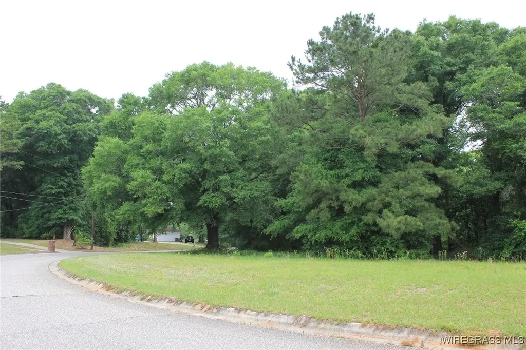 100 Oak Bluff Drive Enterprise AL 36330