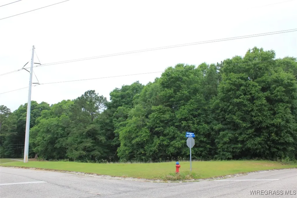 100 Oak Bluff Drive Enterprise AL 36330