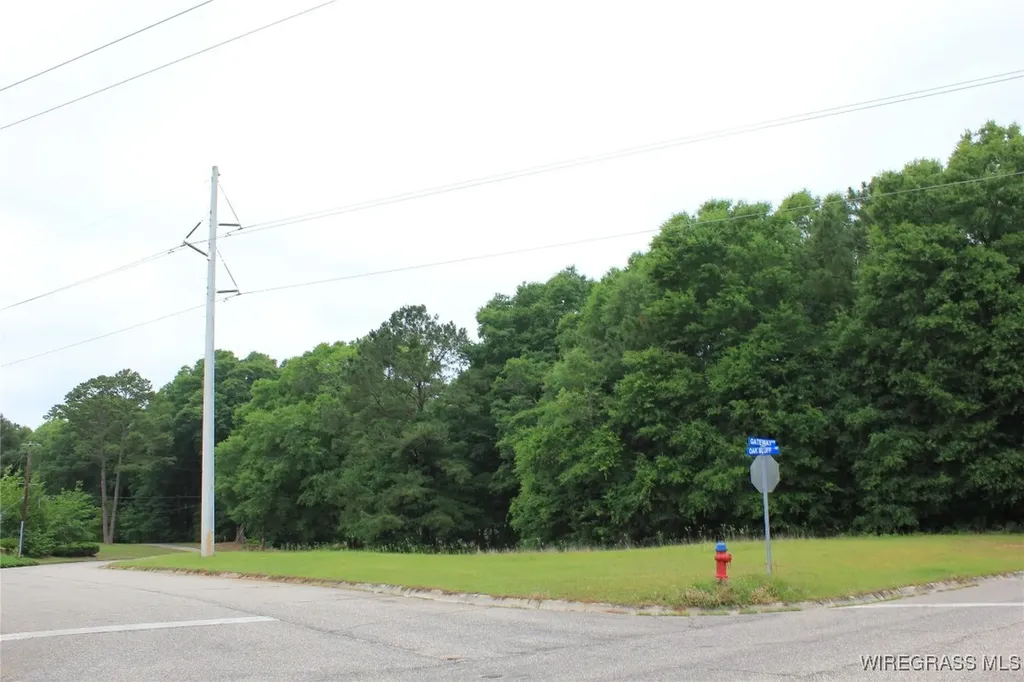 100 Oak Bluff Drive Enterprise AL 36330