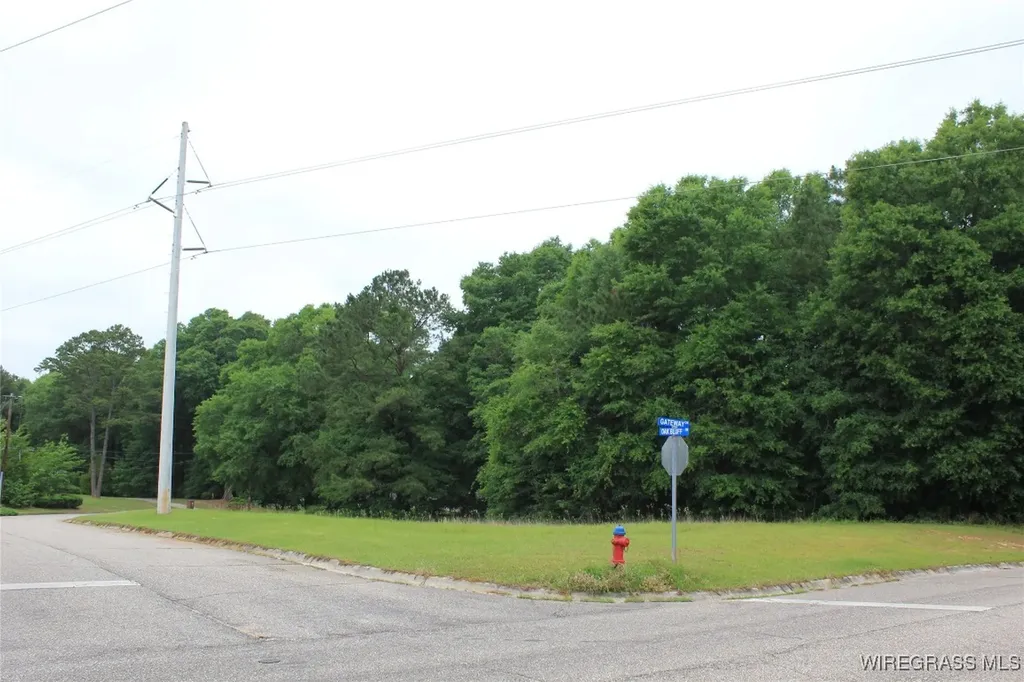 100 Oak Bluff Drive Enterprise AL 36330