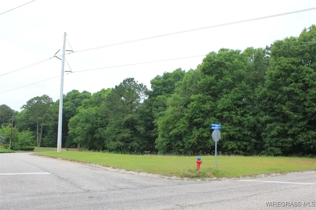 100 Oak Bluff Drive Enterprise AL 36330