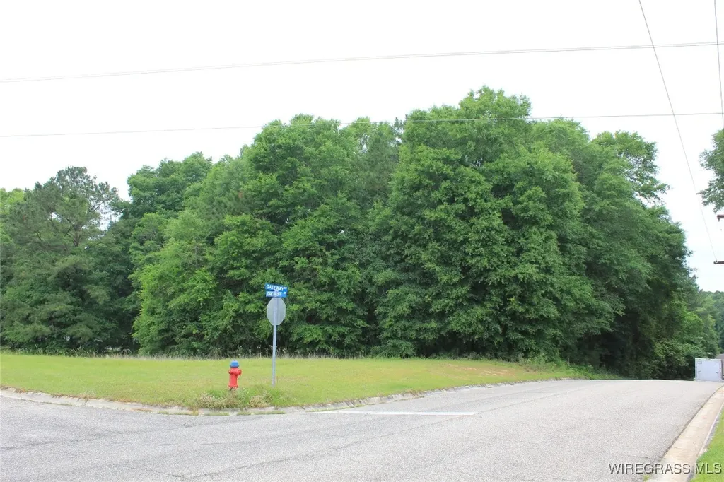 100 Oak Bluff Drive Enterprise AL 36330