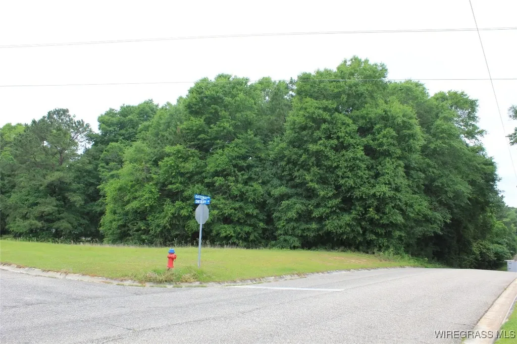 100 Oak Bluff Drive Enterprise AL 36330