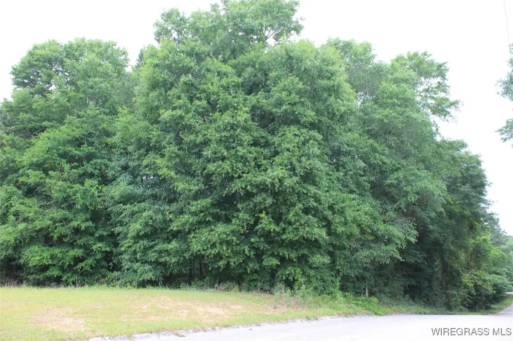 100 Oak Bluff Drive Enterprise AL 36330