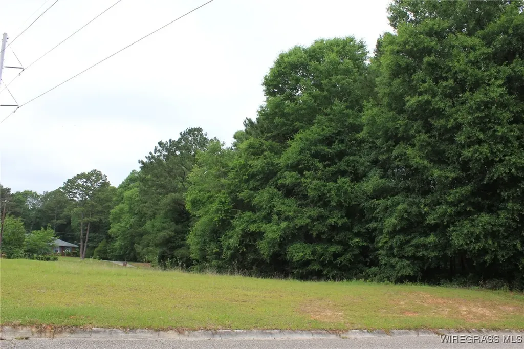 100 Oak Bluff Drive Enterprise AL 36330