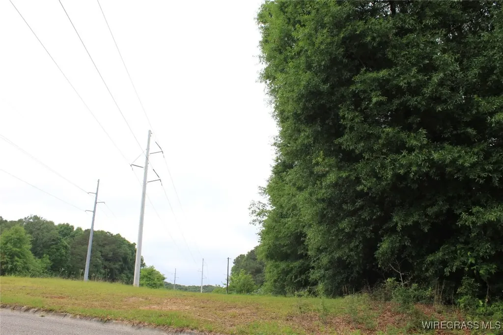 100 Oak Bluff Drive Enterprise AL 36330