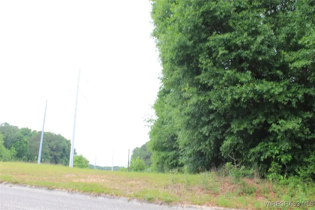 100 Oak Bluff Drive Enterprise AL 36330