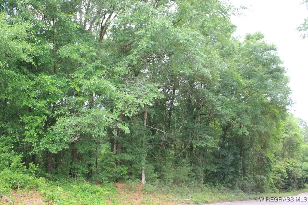 100 Oak Bluff Drive Enterprise AL 36330