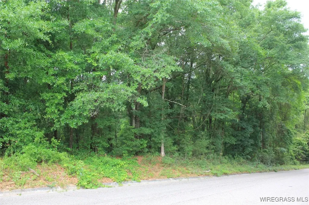 100 Oak Bluff Drive Enterprise AL 36330