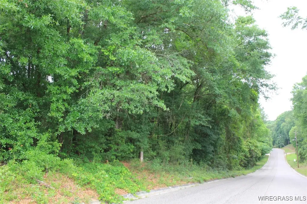 100 Oak Bluff Drive Enterprise AL 36330