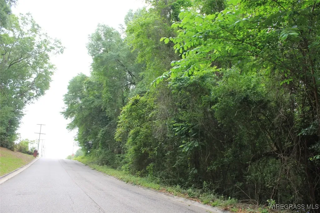 100 Oak Bluff Drive Enterprise AL 36330