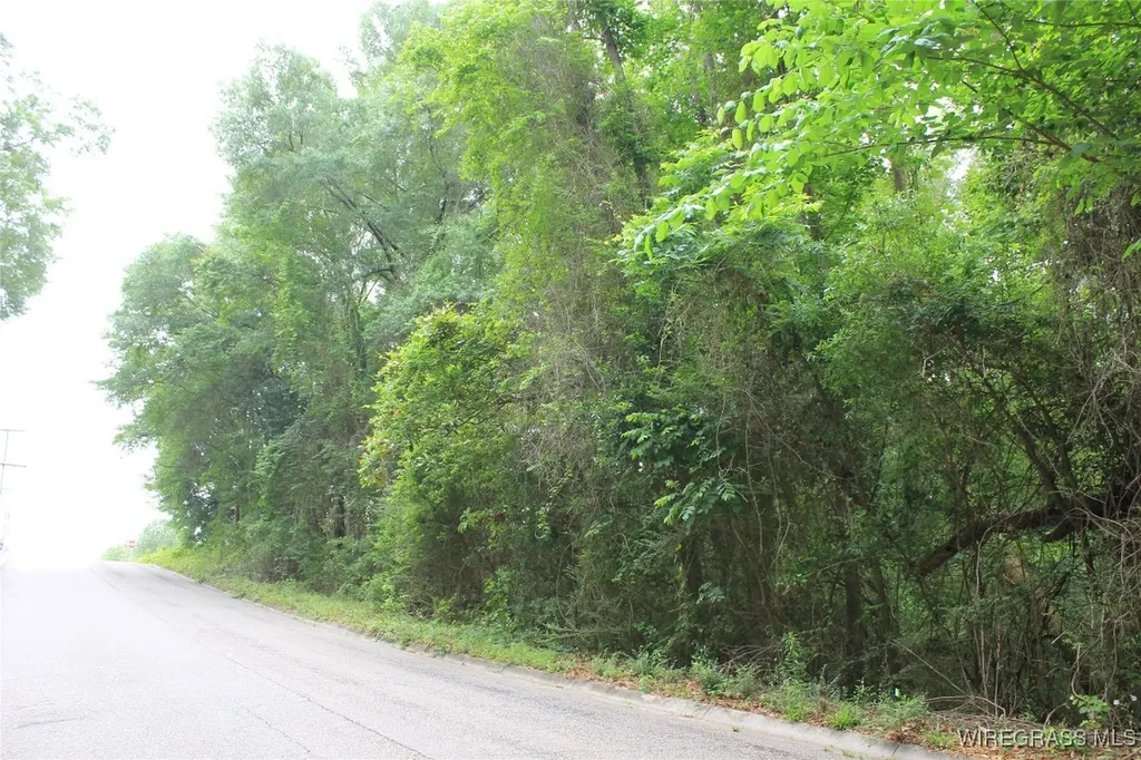 100 Oak Bluff Drive Enterprise AL 36330