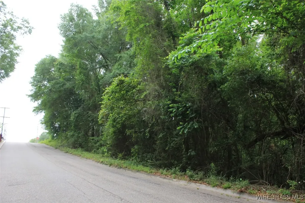 100 Oak Bluff Drive Enterprise AL 36330