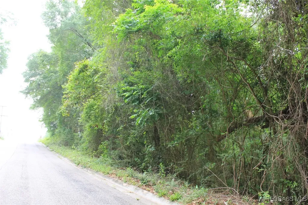 100 Oak Bluff Drive Enterprise AL 36330