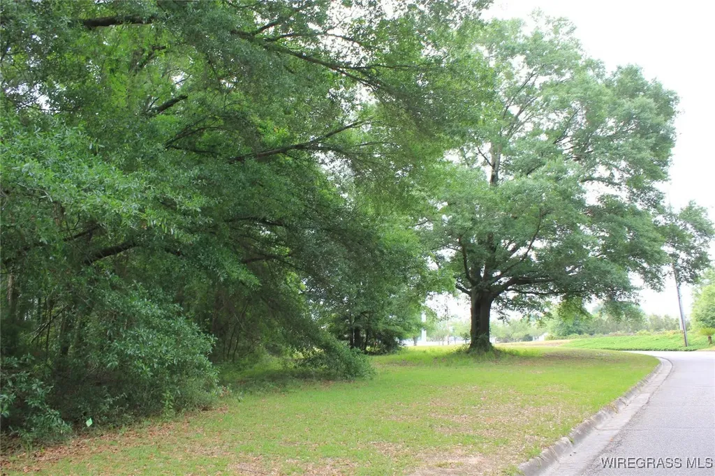 100 Oak Bluff Drive Enterprise AL 36330