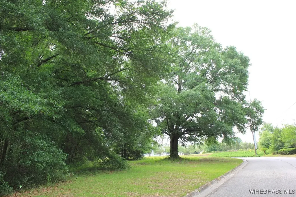 100 Oak Bluff Drive Enterprise AL 36330