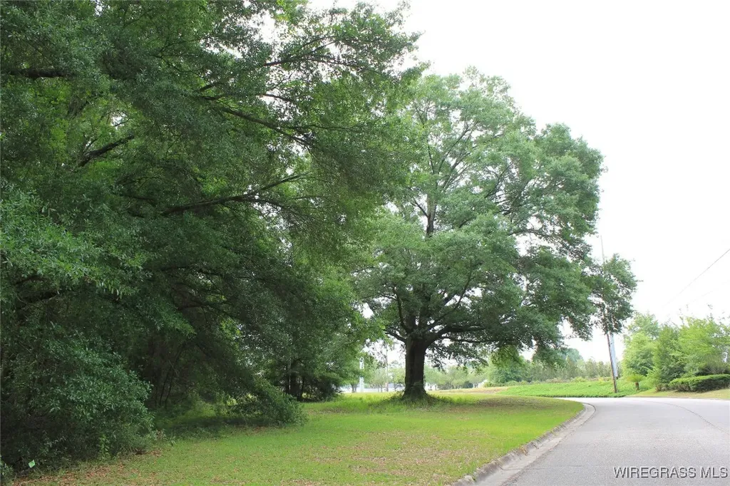 100 Oak Bluff Drive Enterprise AL 36330