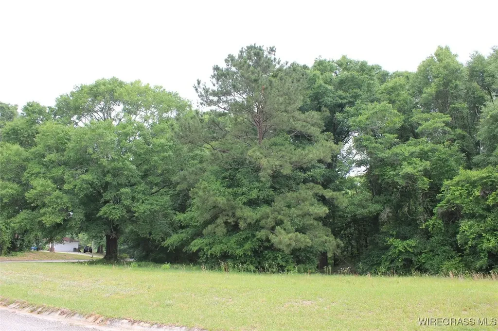 100 Oak Bluff Drive Enterprise AL 36330